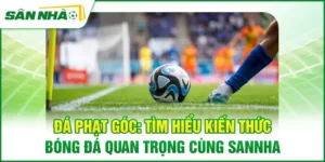 da-phat-goc-tim-hieu-kien-thuc-bong-da-quan-trong-cung-sannha