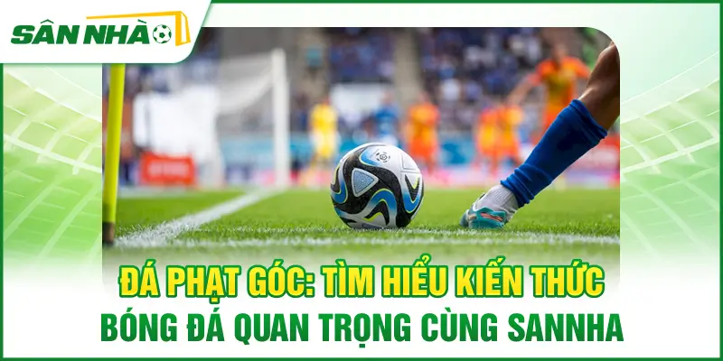 da-phat-goc-tim-hieu-kien-thuc-bong-da-quan-trong-cung-sannha