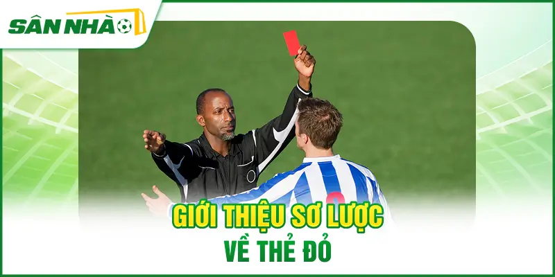 gioi-thieu-so-luoc-ve-the-do