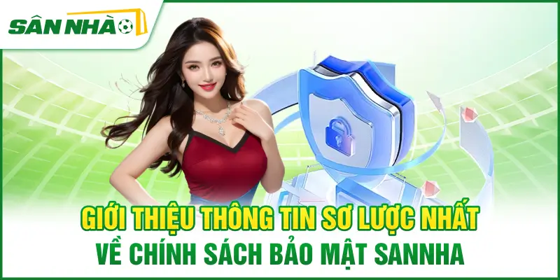 gioi-thieu-thong-tin-so-luoc-nhat-ve-chinh-sach-bao-mat-sannha