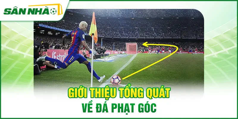 gioi-thieu-tong-quat-ve-da-phat-goc