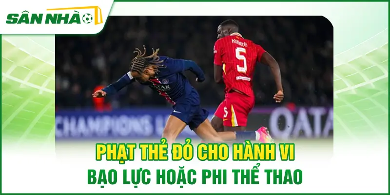 phat-the-do-cho-hanh-vi-bao-luc-hoac-phi-the-thao