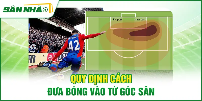 quy-dinh-cach-dua-bong-vao-tu-goc-san