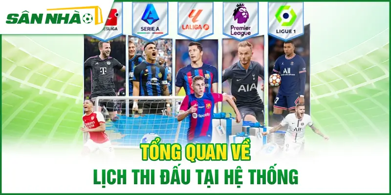 tong-quan-ve-lich-thi-dau-tai-he-thong