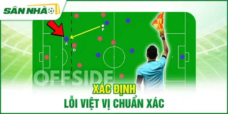 xac-dinh-loi-viet-vi-chuan-xac